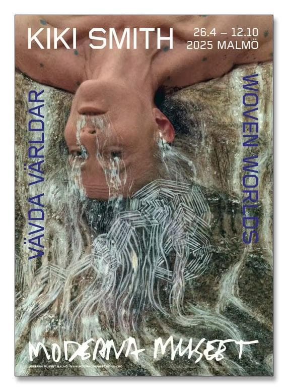 額装品/The Falls lll/キキ スミス/アート/ポスター/インテリア