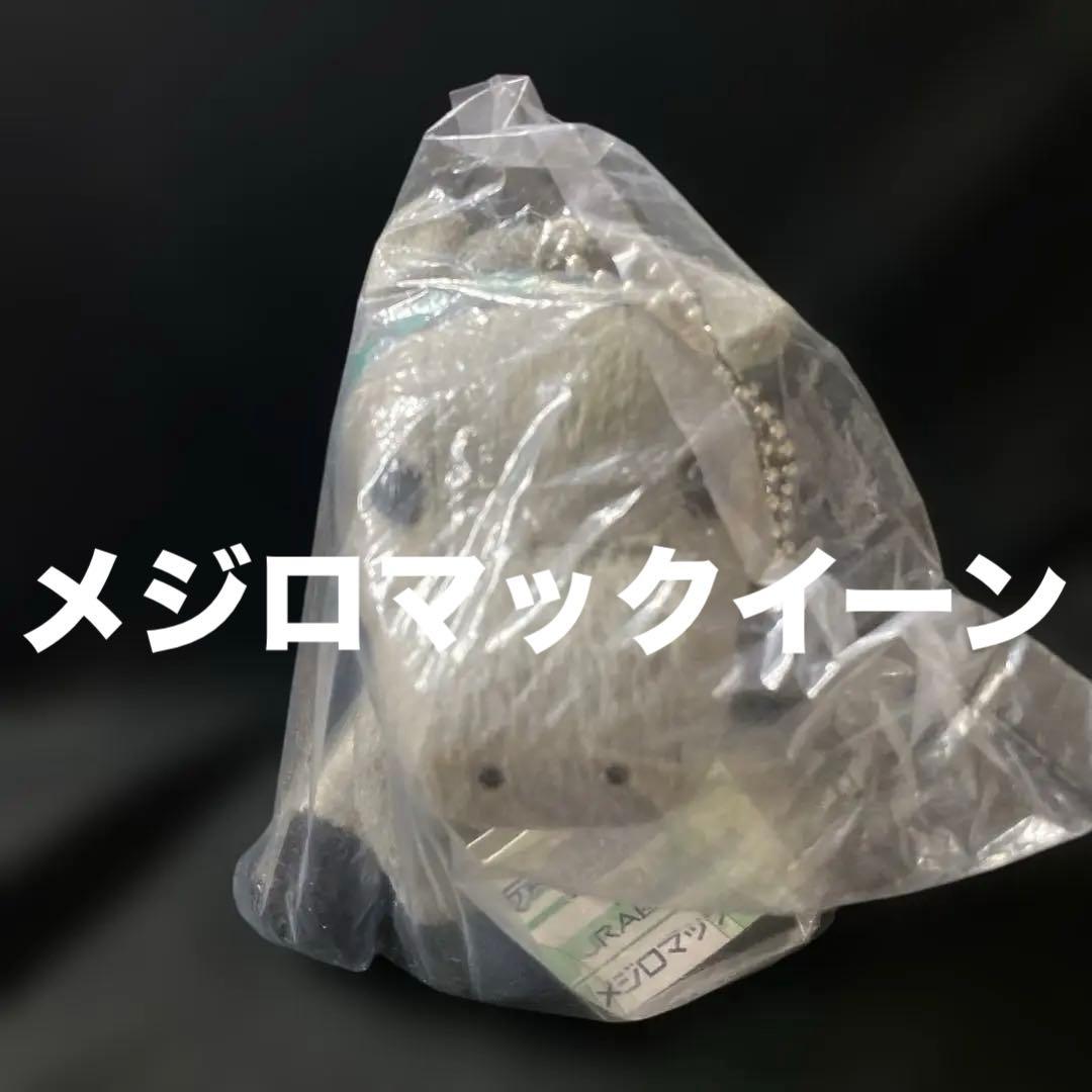 【競馬】メジロマックイーン（2019JRA函館競馬場）アイドルホースSサイズ