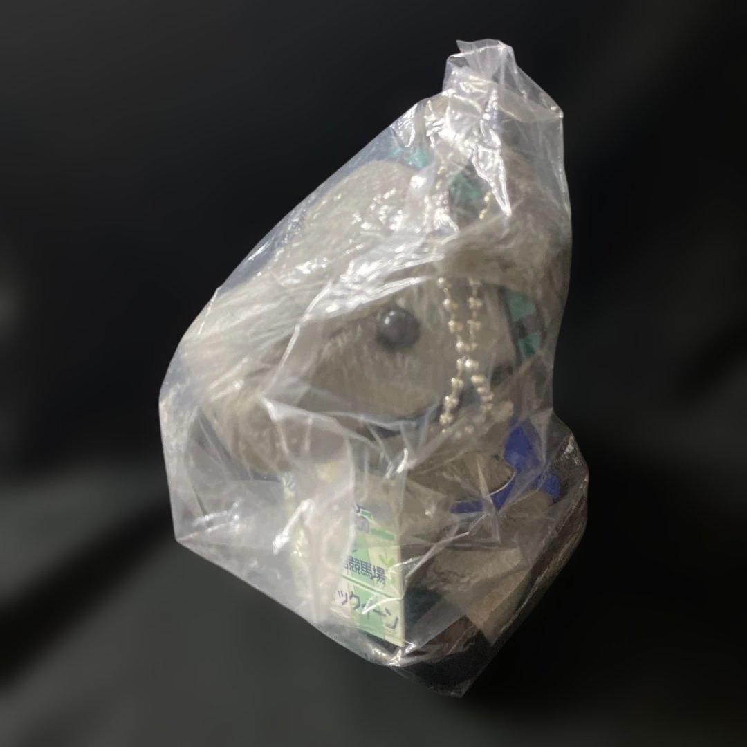 【競馬】メジロマックイーン（2019JRA函館競馬場）アイドルホースSサイズ