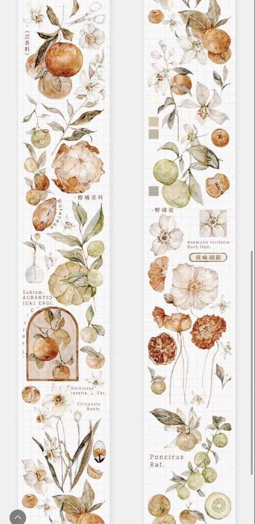 《在庫処分最終値下げ》海外 マスキングテープ雀斑茶 6点⚠️pet（33.324