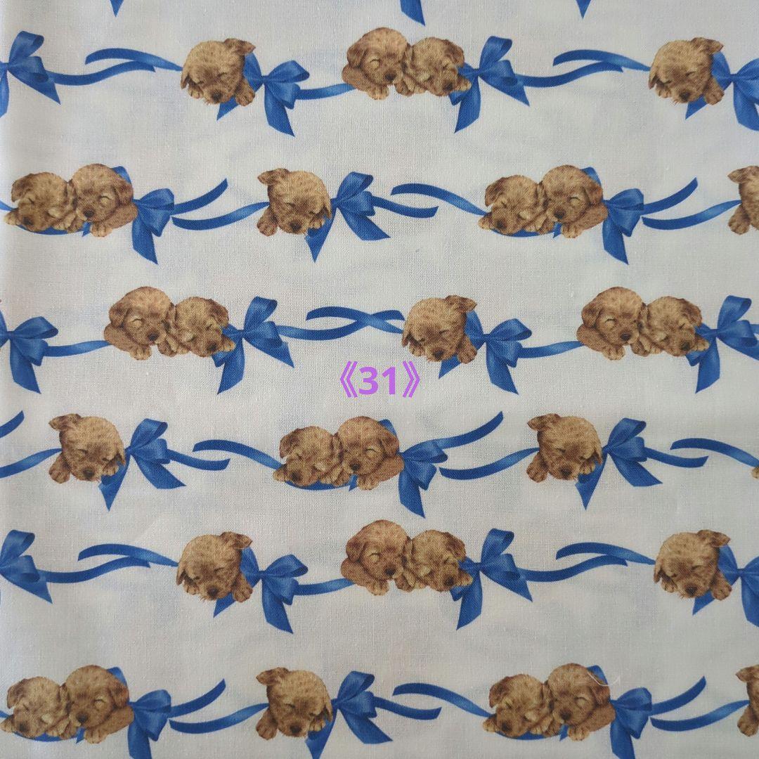 《31》ペット＊犬＊マナーベルトオーダー用 サンプル（確認用）プードル