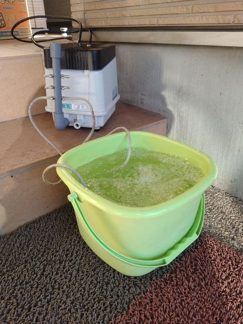 安永（EP-80E-L）80L】366　エアポンプ　ブロワー　浄化槽