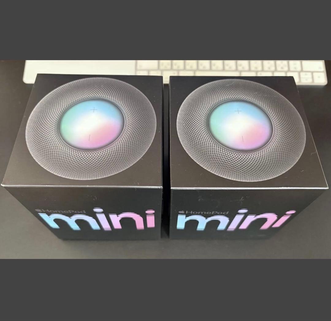 【美品】Apple Pod mini スペースグレイ （ペア）