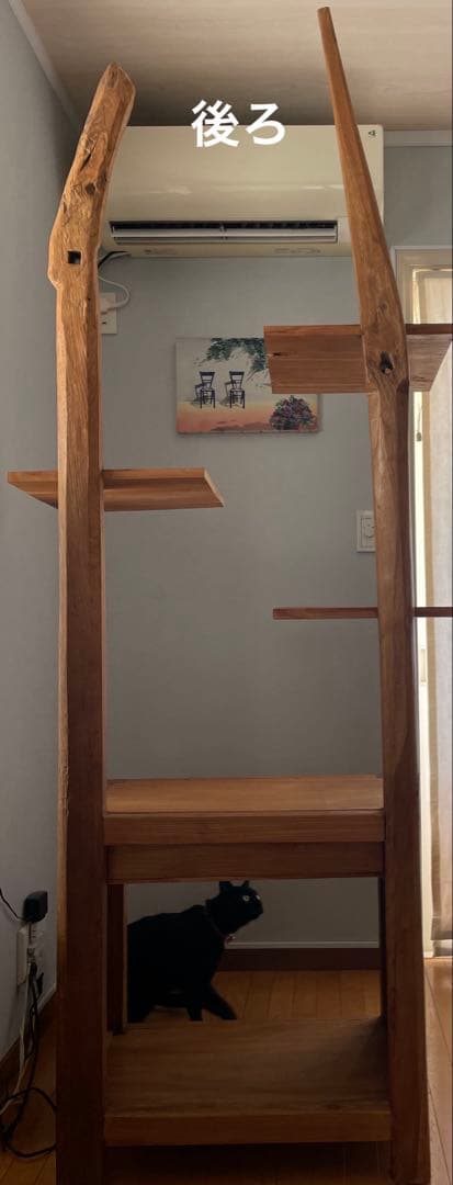 Masa 木製キャットタワー 本棚&引き出し付き
