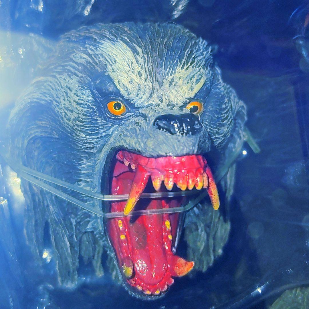 NECA 社[ American Werewolf ]新品未開封!土日限定価格!