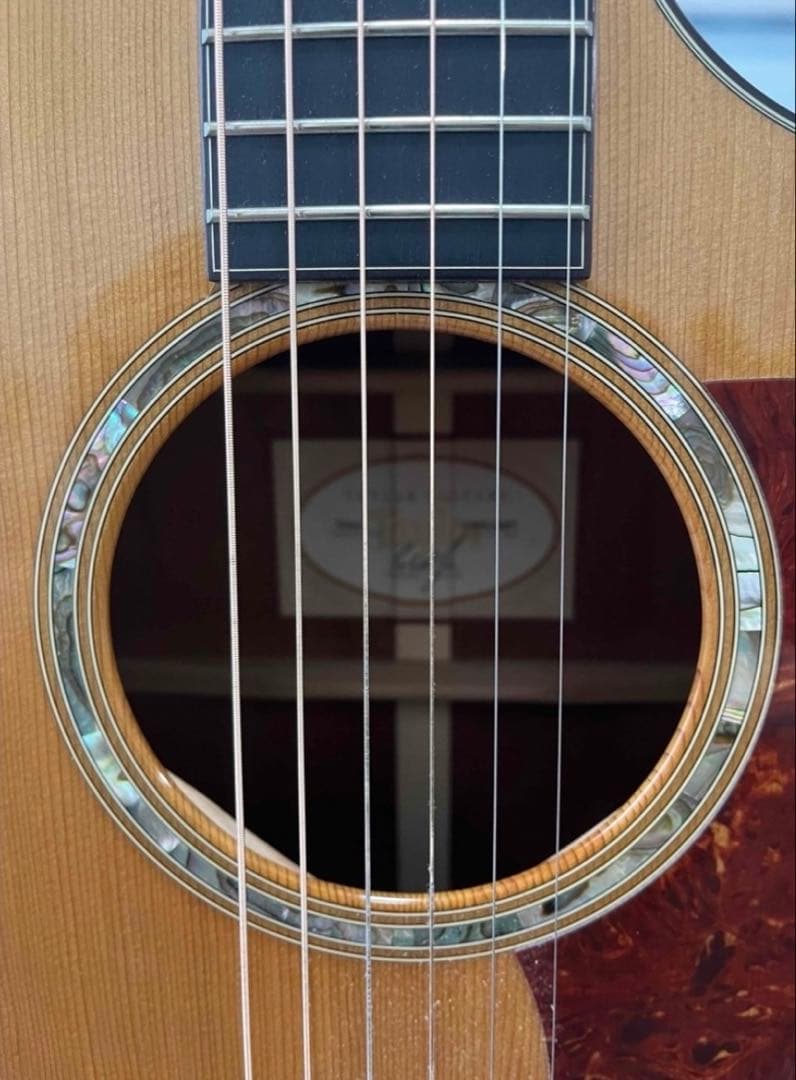 Taylor テイラー 514ce ES-1エレアコ　テイラー上位機種