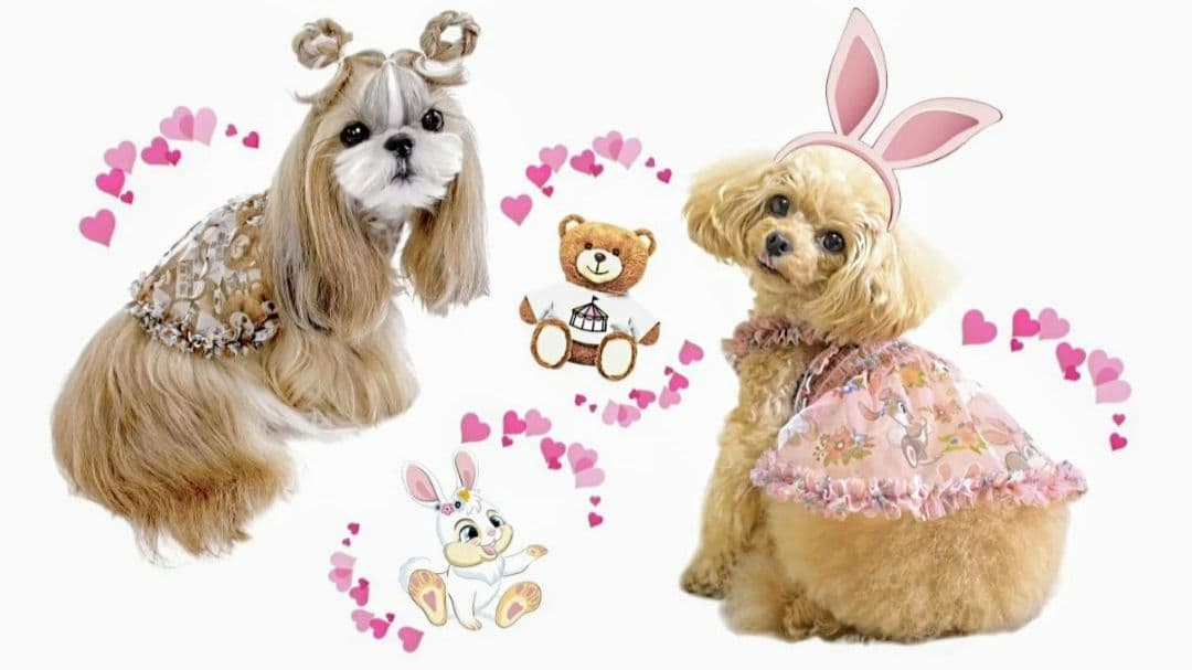 B　XS4点セット+クッション　サーカスサーカスCIRCUSCIRCUS