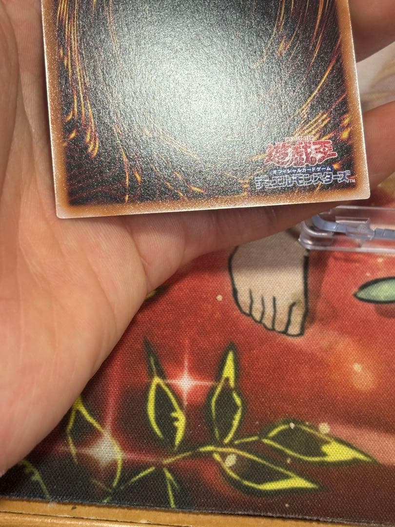 遊戯王　青眼の究極霊竜 25thシク 極美品