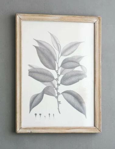 額絵 植物 アートフレーム 4枚セット ボタニカル ナチュラル AN-80196