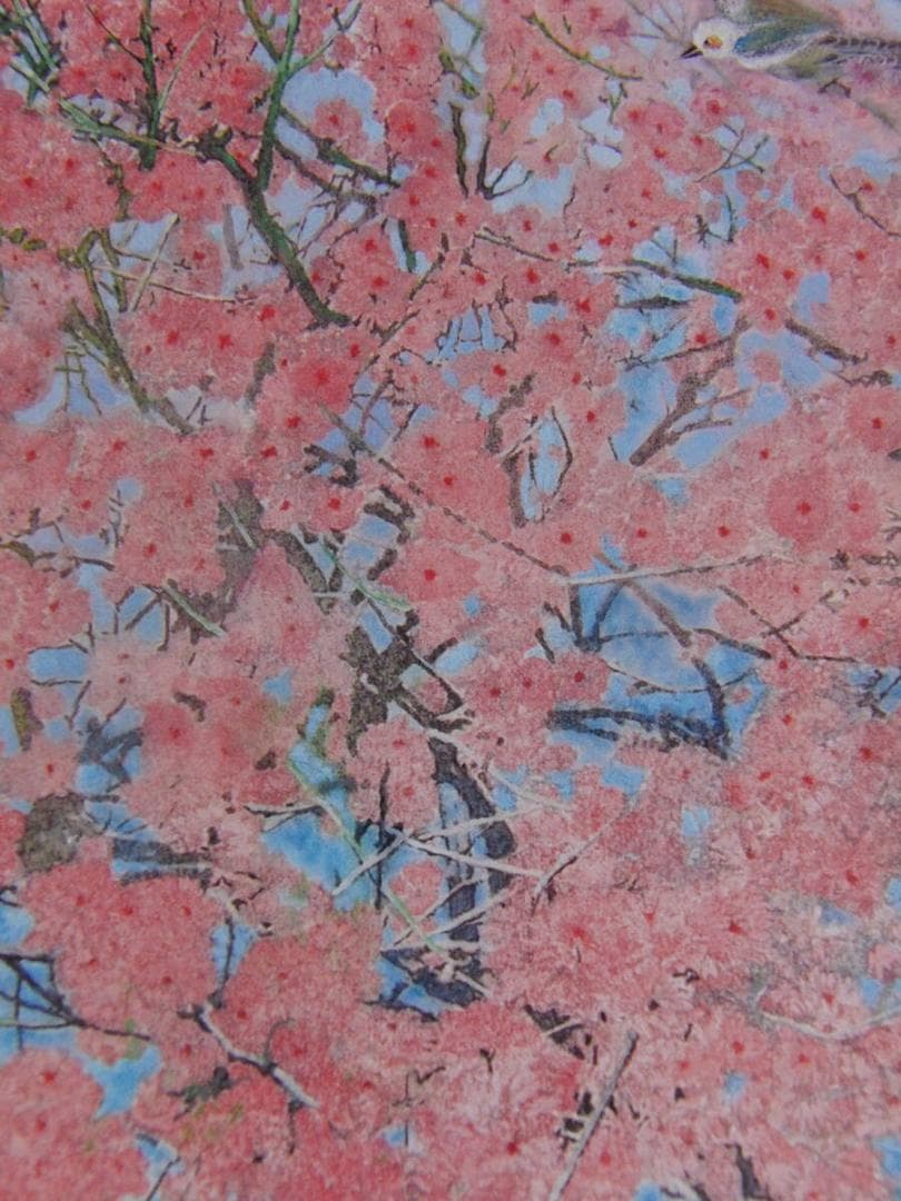 小谷津雅美、「花遊悠」、希少画集・額装画、日本製・新品額縁にて額装致します