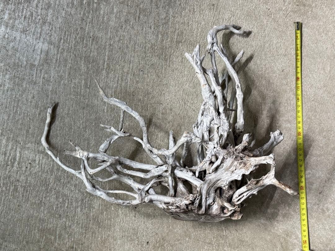 ADA ブランチウッド 白