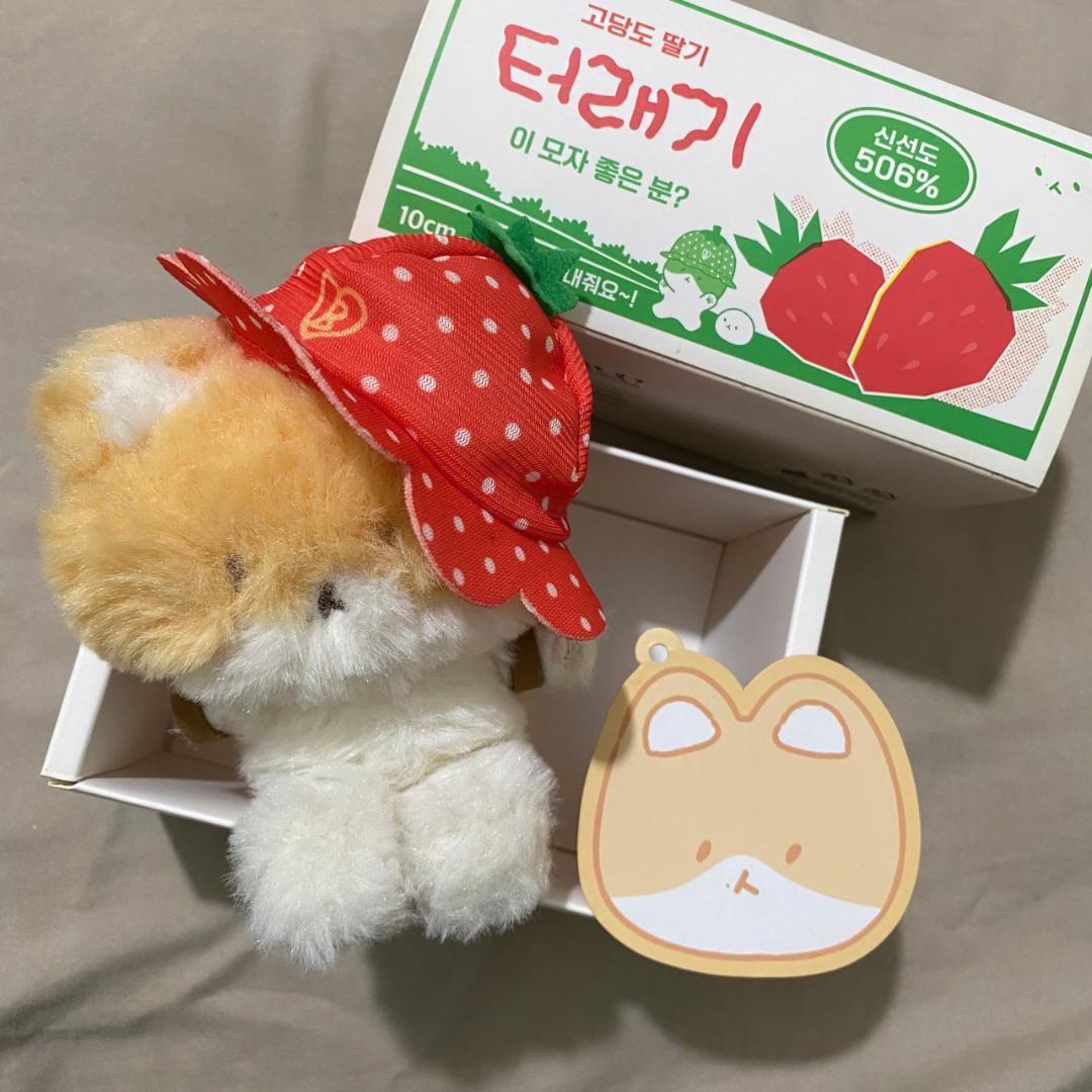 EXO ベッキョン TEOLAEGI トレギ ぬいぐるみ　10cm