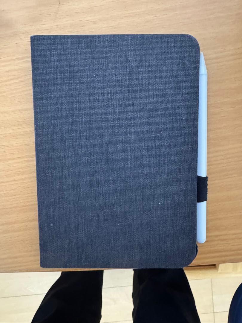 ipad mini (第6世代) 256GB