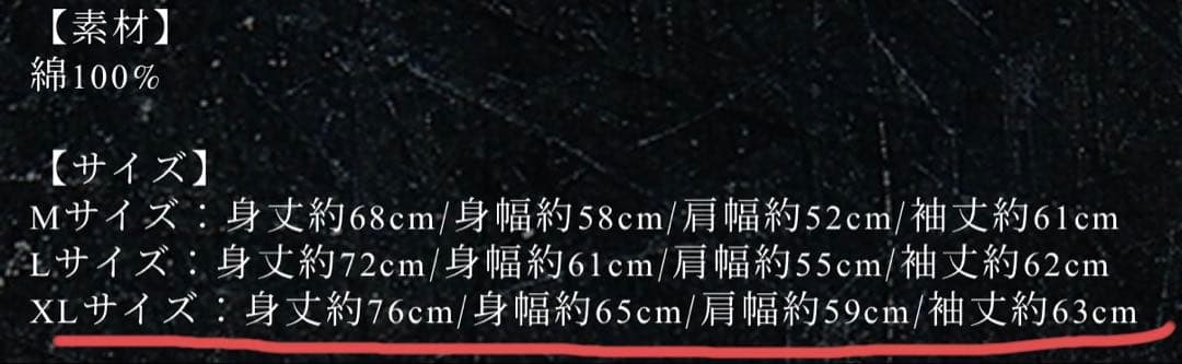 ONE OK ROCK 2024 ツアー プルオーバーパーカー