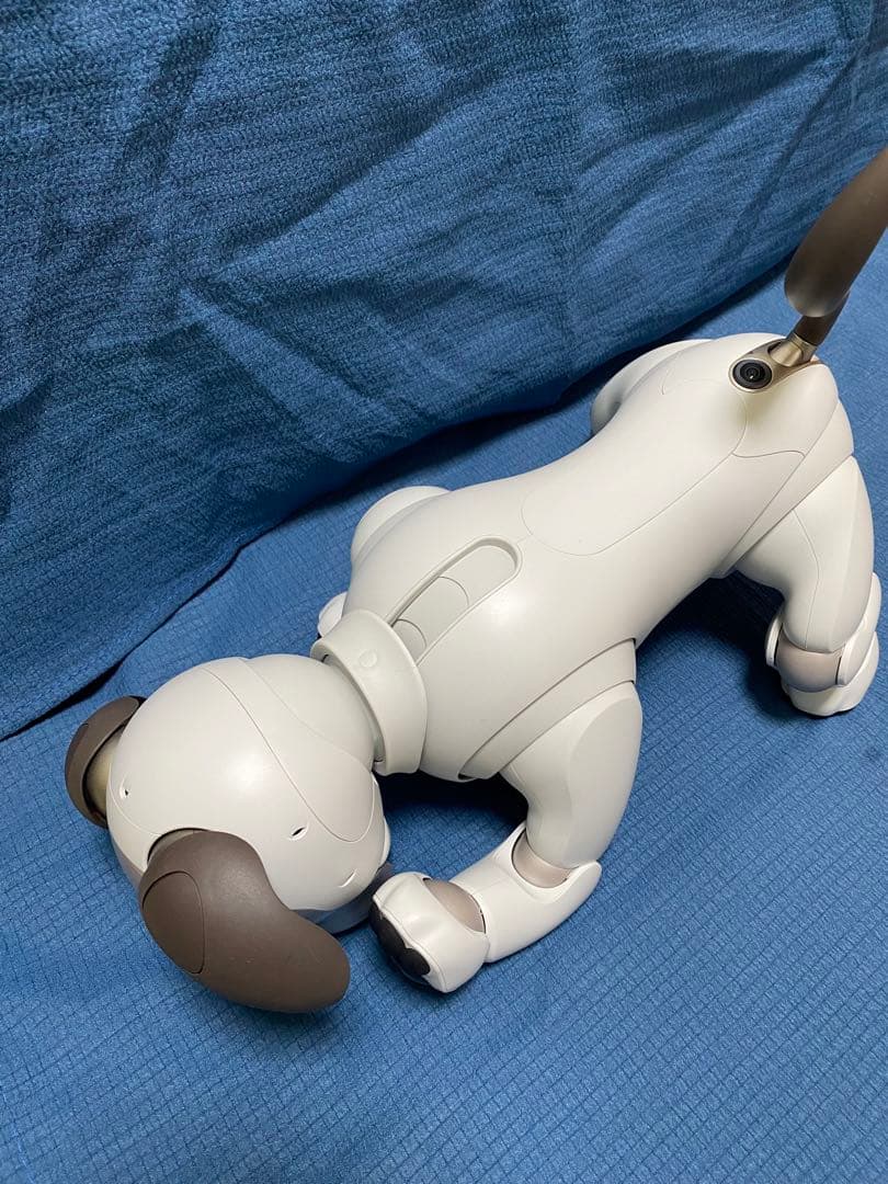 AIBO けんちゃんページ