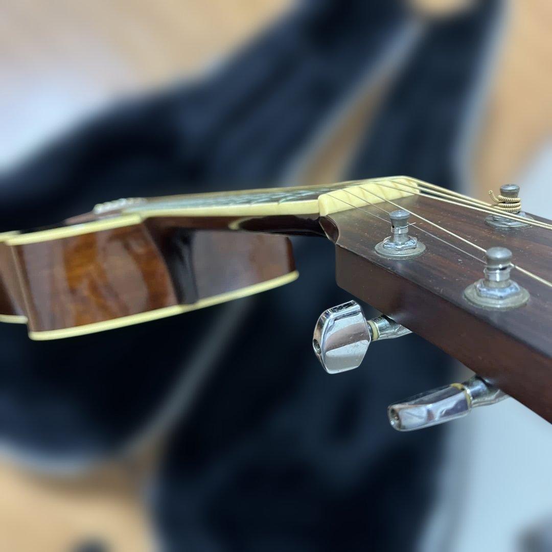 Ibanez Performance PE-15TV ハードケース付