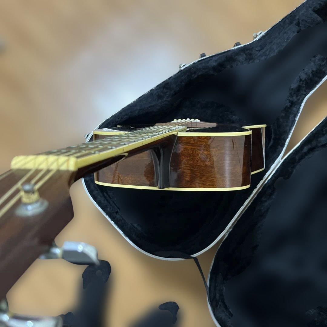 Ibanez Performance PE-15TV ハードケース付