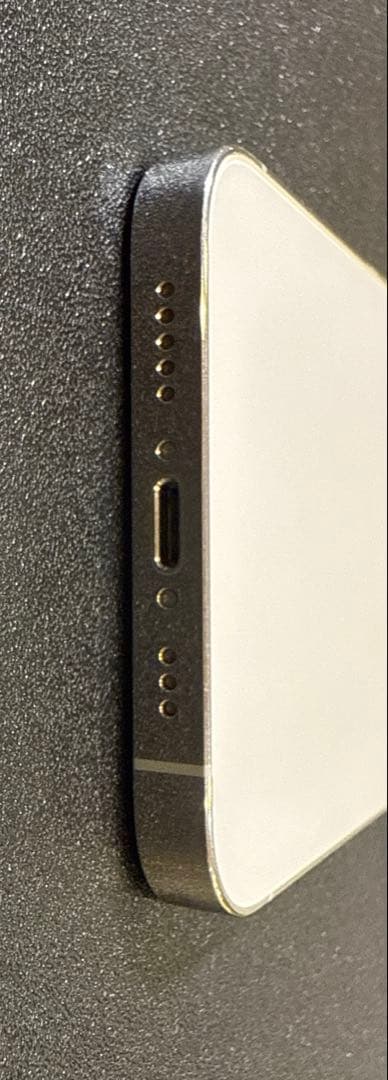 iPhone12pro シルバー128GB ビションフリーゼ柄カバー×4おまけ付