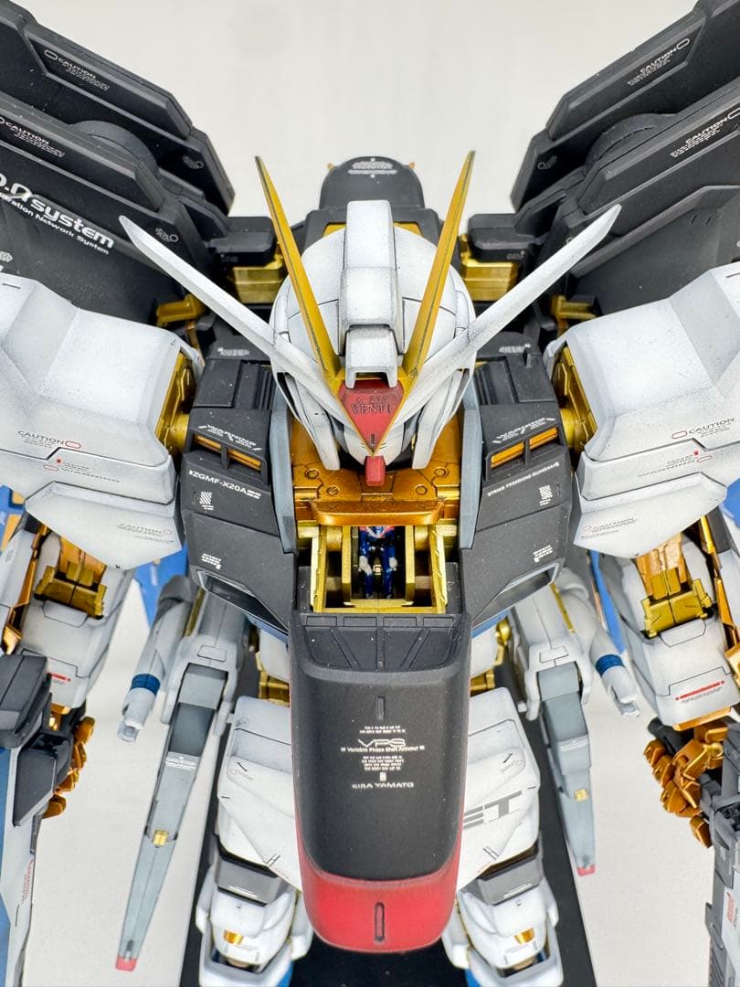 PG ストライクフリーダムガンダム　エアブラシ全塗装　完成品 ガンダムSEED