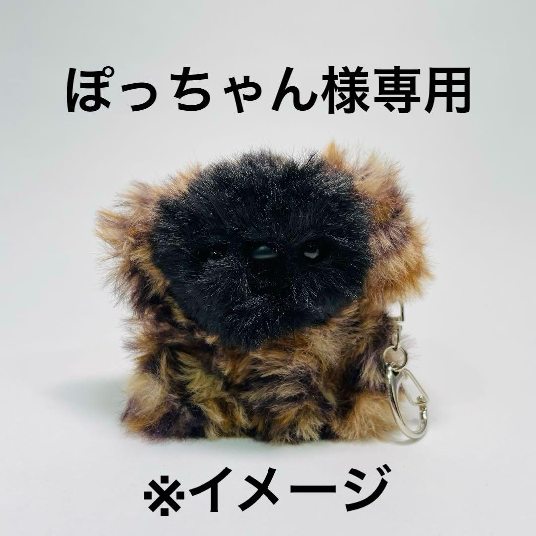 【専用出品】ぽっちゃん様