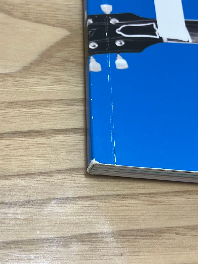 【限定】ポールマッカートニー 2015ツアータオル・パンフレット・チラシ