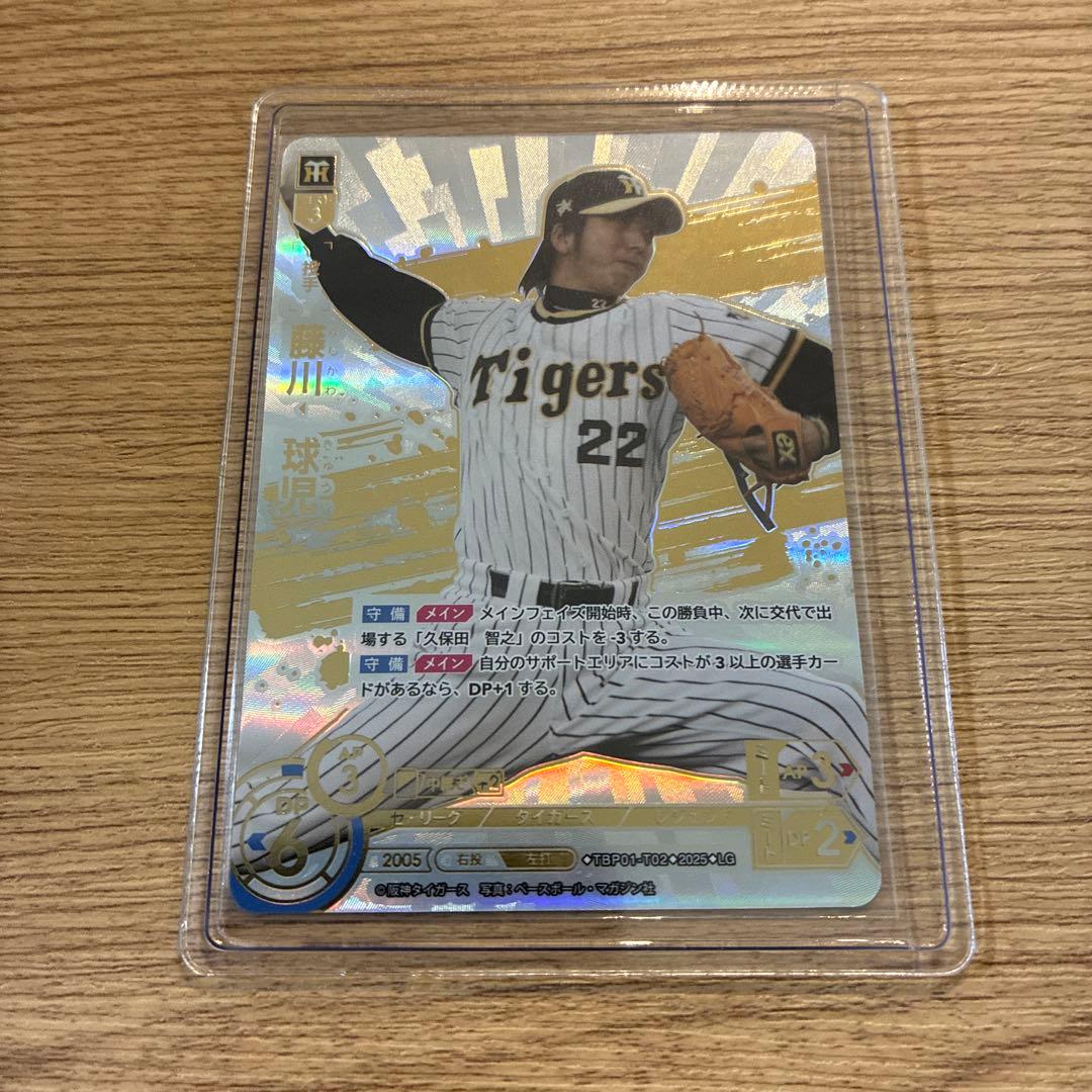 ドリームオーダー 猛虎の雄姿 阪神タイガース 藤川球児 LG