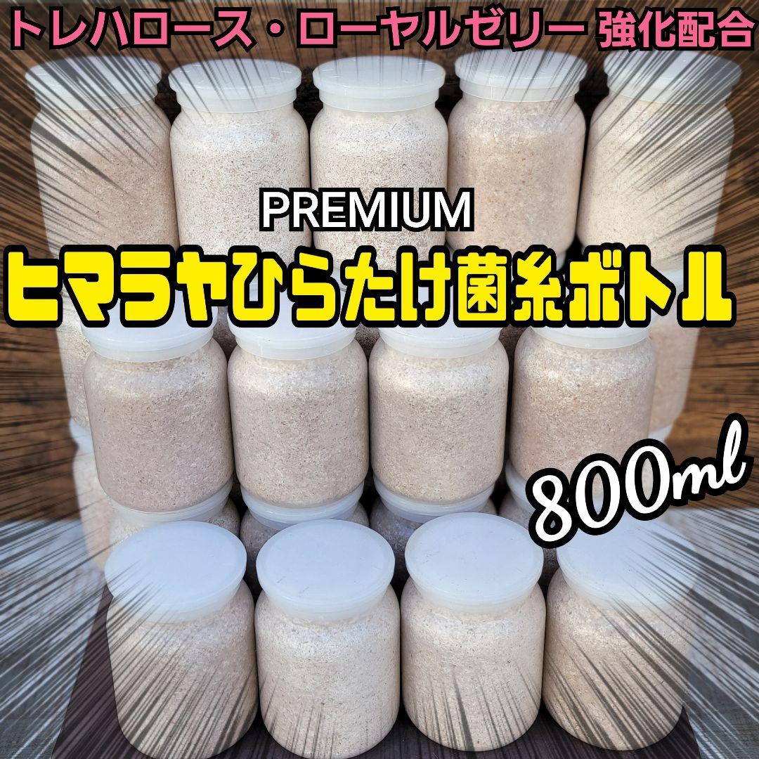 極上！ヒマラヤひらたけ菌糸瓶　800ml【10本】ニジイロクワガタにお薦め！