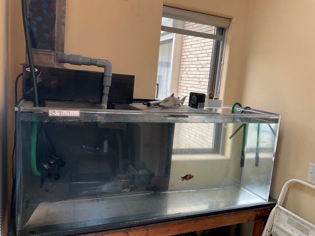 『亀』引取り限定　アクリル水槽セット　150*45*60