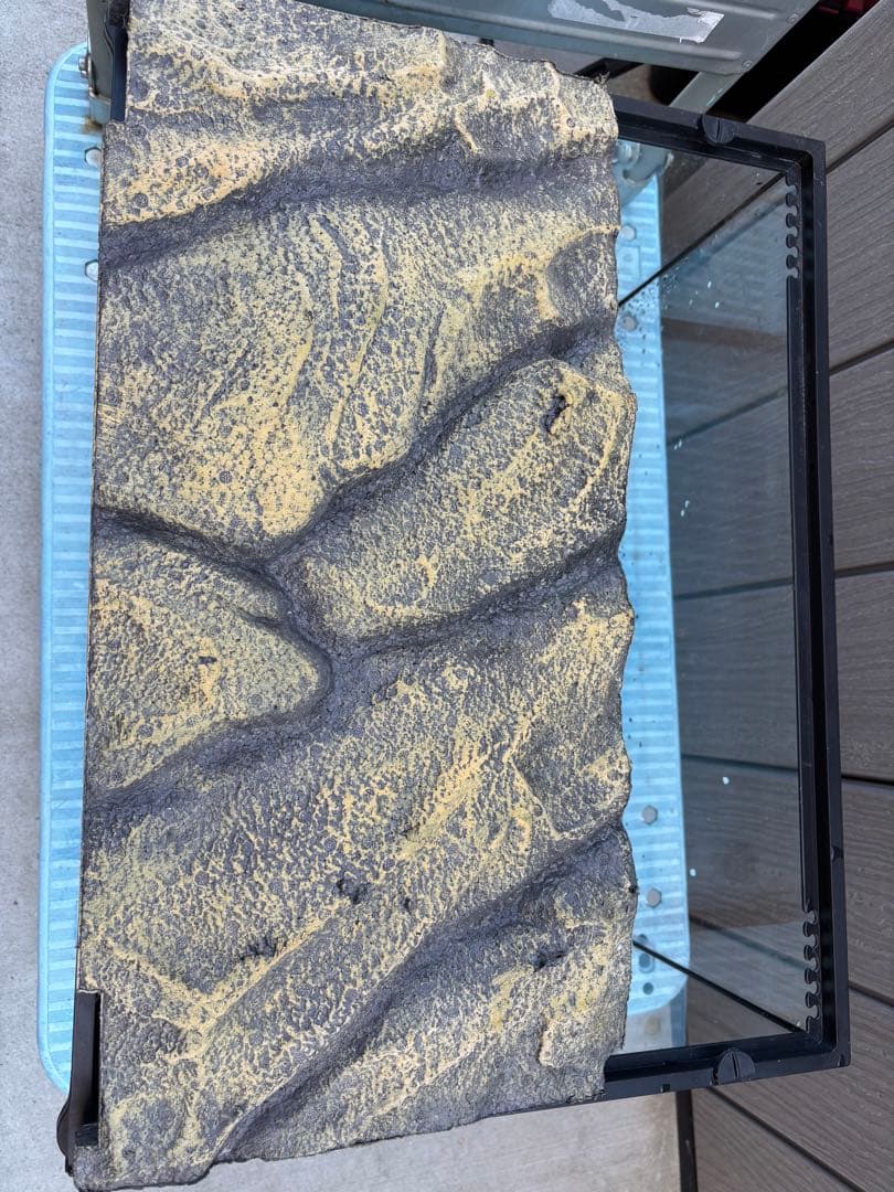 グラステラリウム 6030