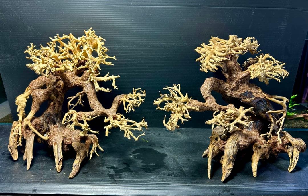 2本セット！盆栽流木Ｌサイズ