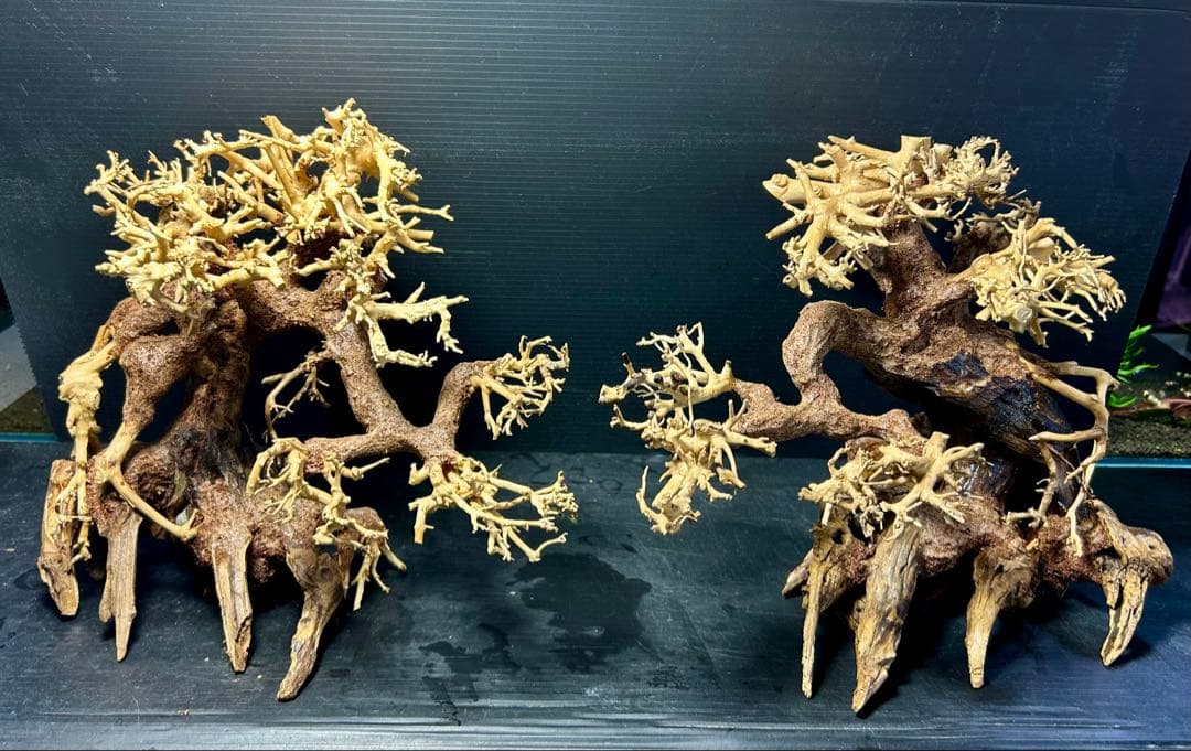 2本セット！盆栽流木Ｌサイズ