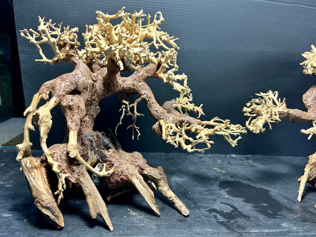 2本セット！盆栽流木Ｌサイズ