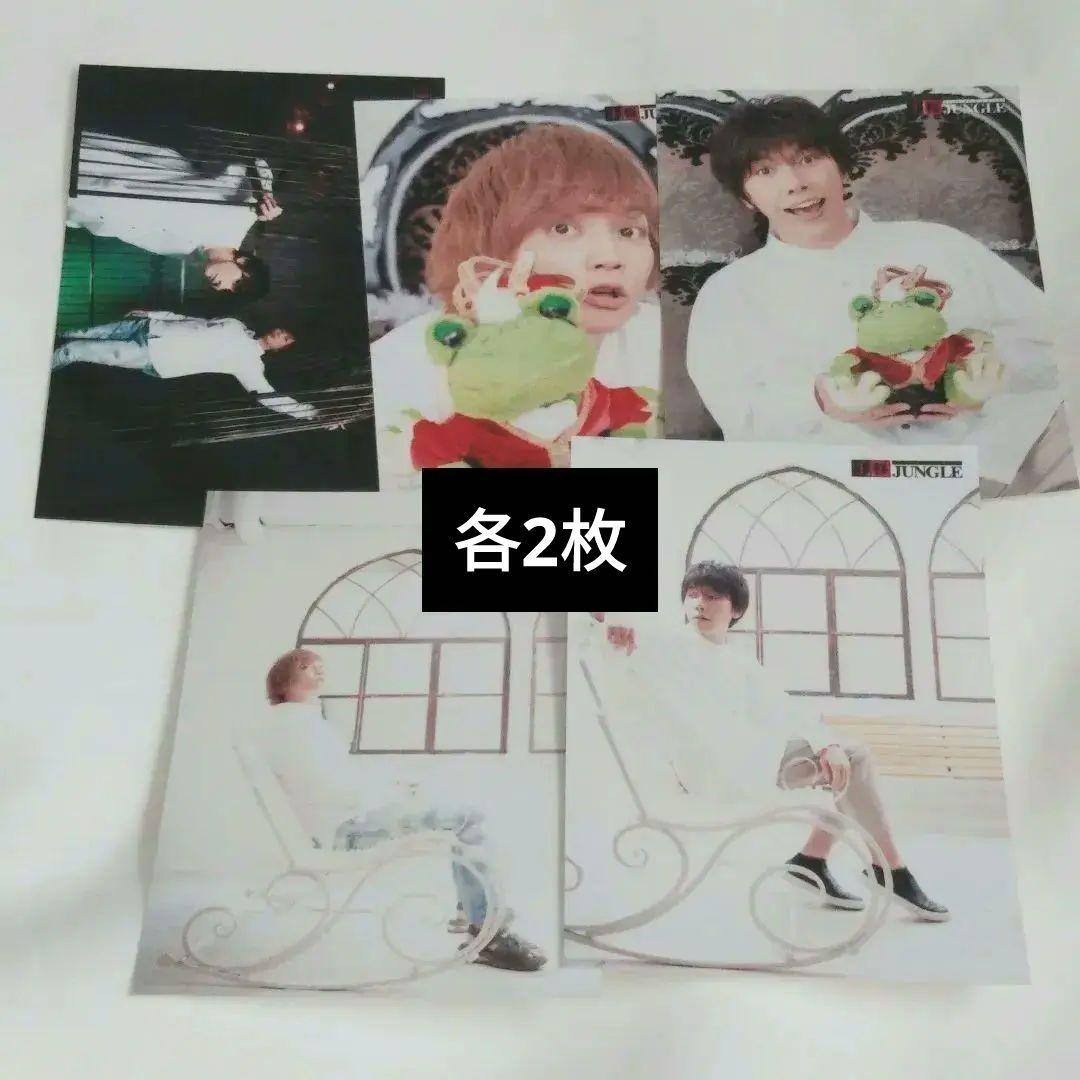 王様ジャングル 追加ブロマイド 浅沼晋太郎 セット