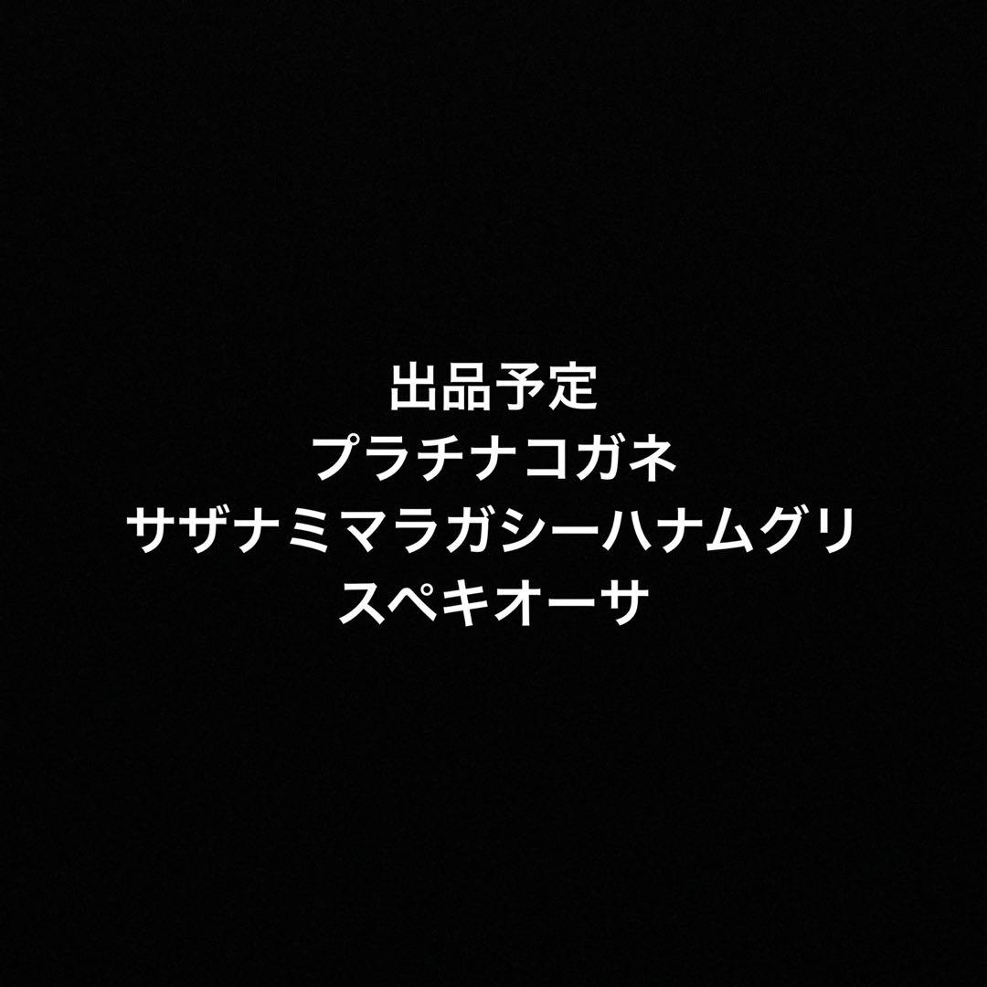 新春SALE価格
