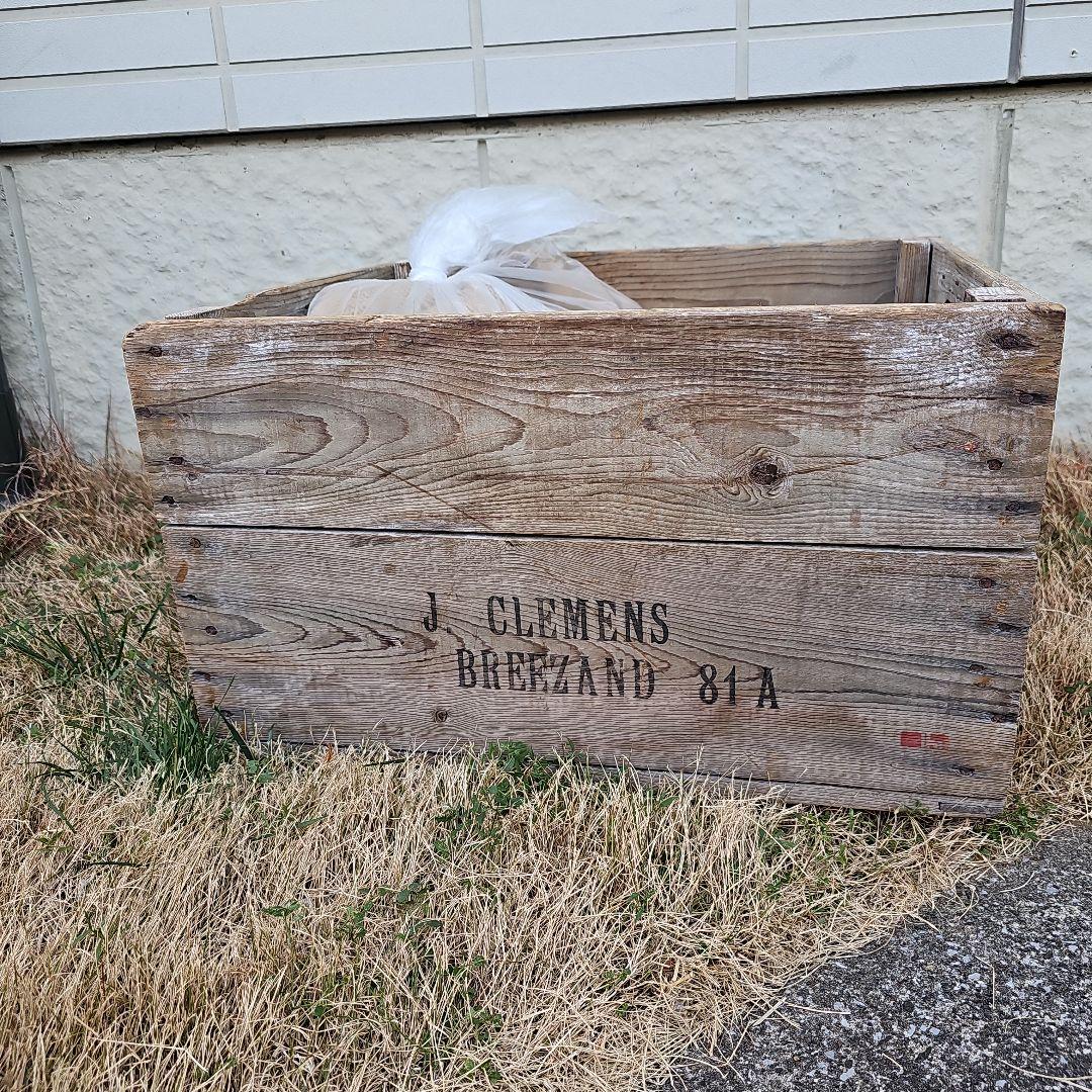 J. Clemens Breezand 81A 木製ボックス ヴィンテージ 希少