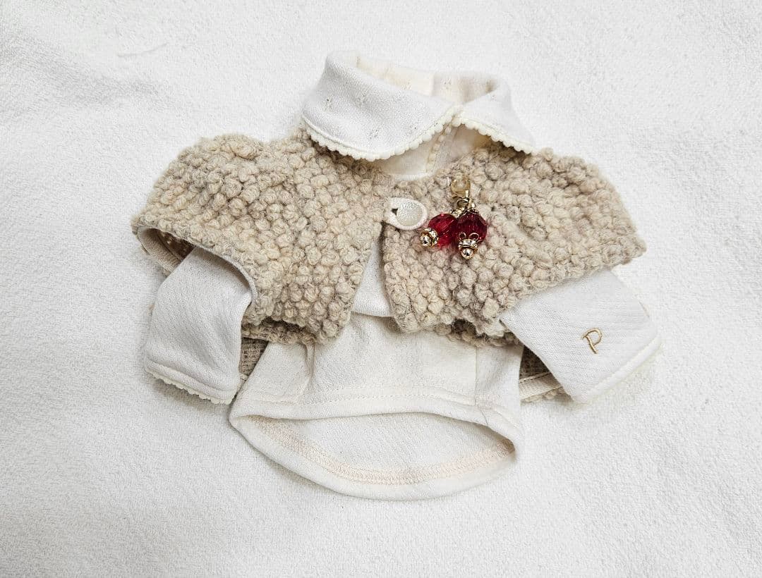 pp *closed 　サイズ　31