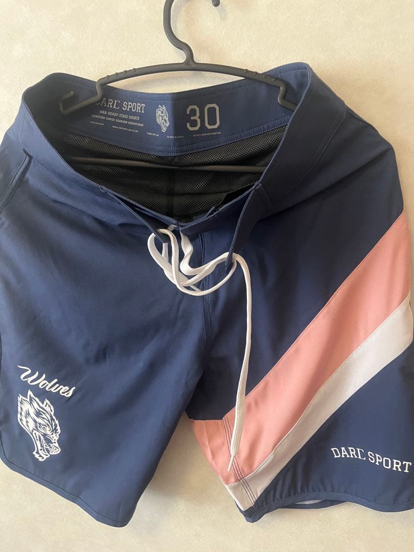 【激レア】ダルクスポーツ　サーフパンツ ステージ ショーツ　30インチ