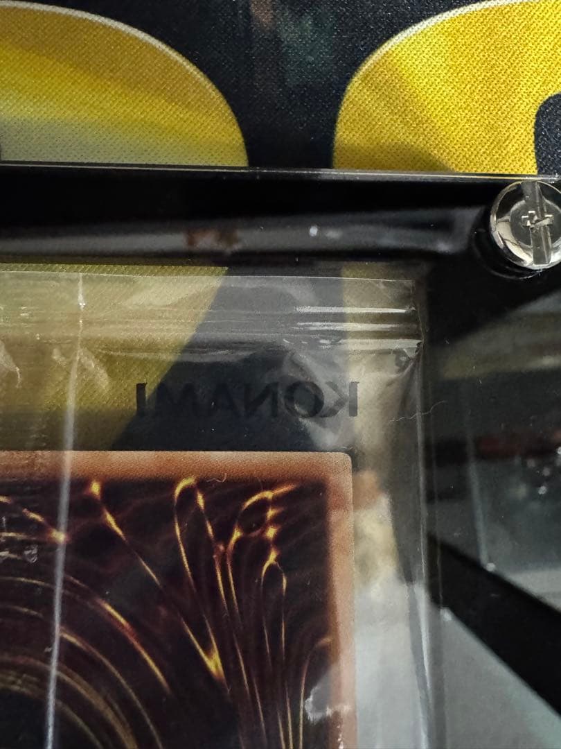 本日限定最安値　ブラック・マジシャン SPECIAL ILLUST Ver.