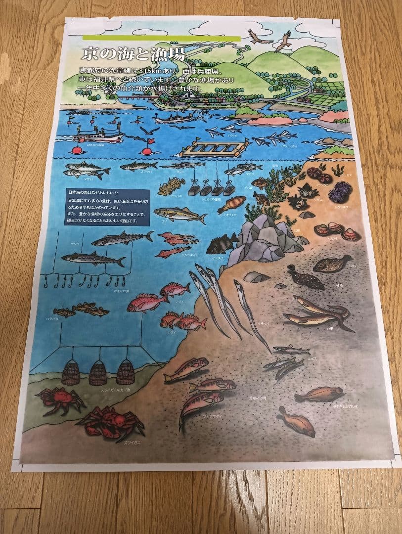 魚　ポスター　漁方