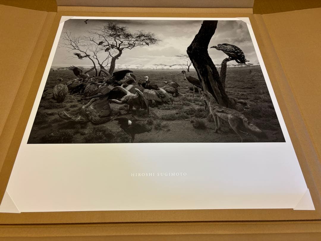 杉本博司　真作　ポスター　「ハイエナ　ジャッカル　コンドル」