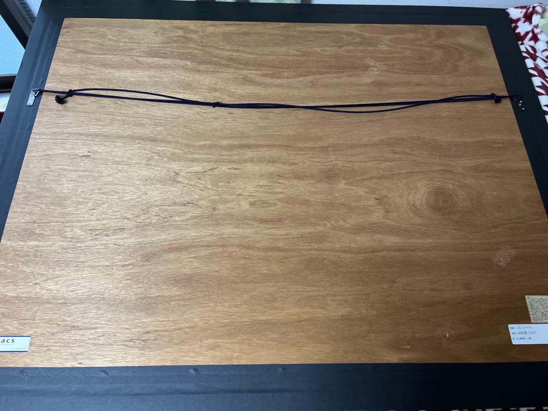 【希少価値の黒豹】シムシメール 「未来を探し求めて」美品 ジークレー 絵画 AP