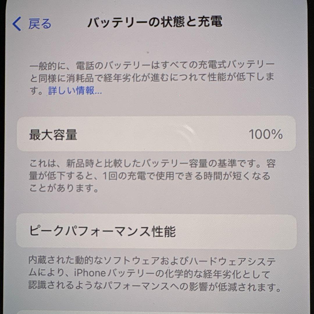 iPhone13 Pro Max 1TB シルバー SIMフリー 極美品