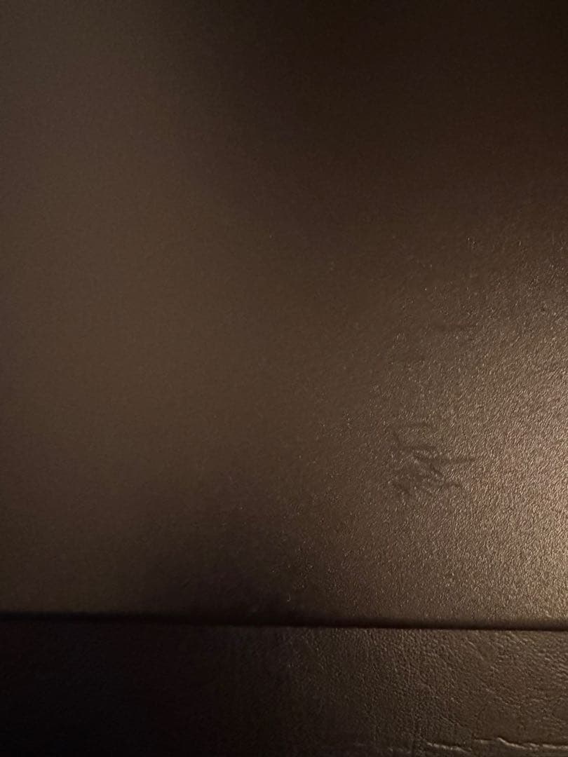 FURMAN ( ファーマン ) P-1800 PFRJ　パワーコンディショナー