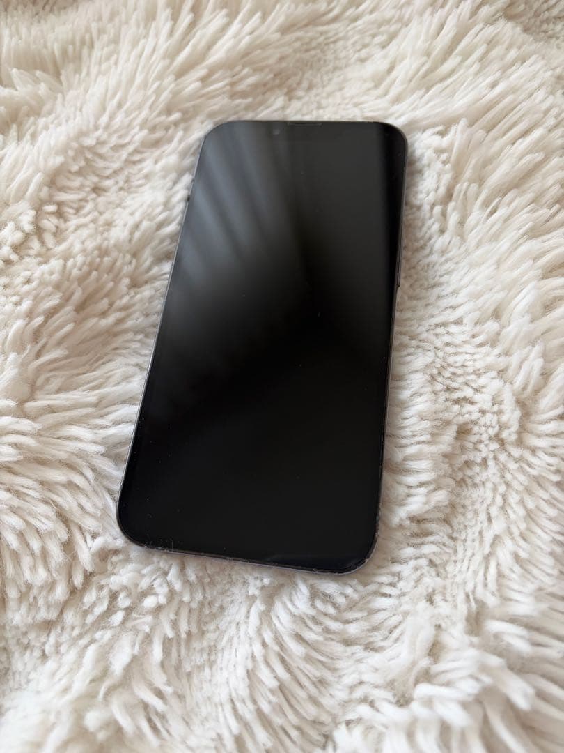 iPhone13 pro 256GB 本体