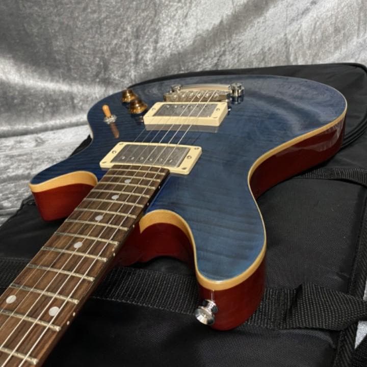 EDWARDS E-PO-100D Seymour Duncan PU搭載