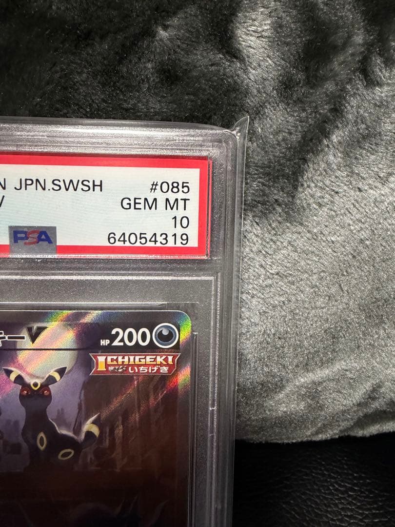 ポケモンカード　ブラッキーV SR PSA10