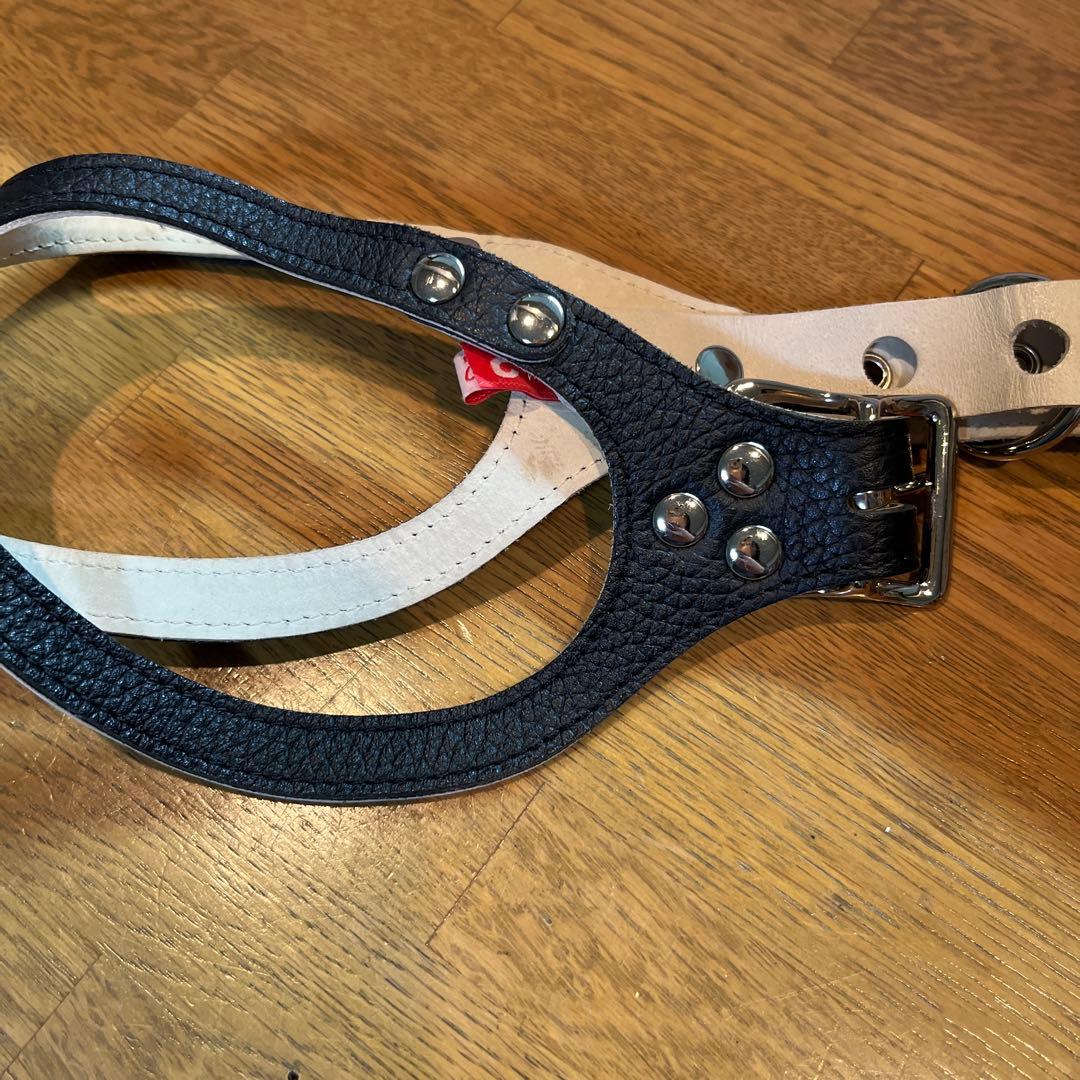 BUDDY BELT バディベルト　ブラック5