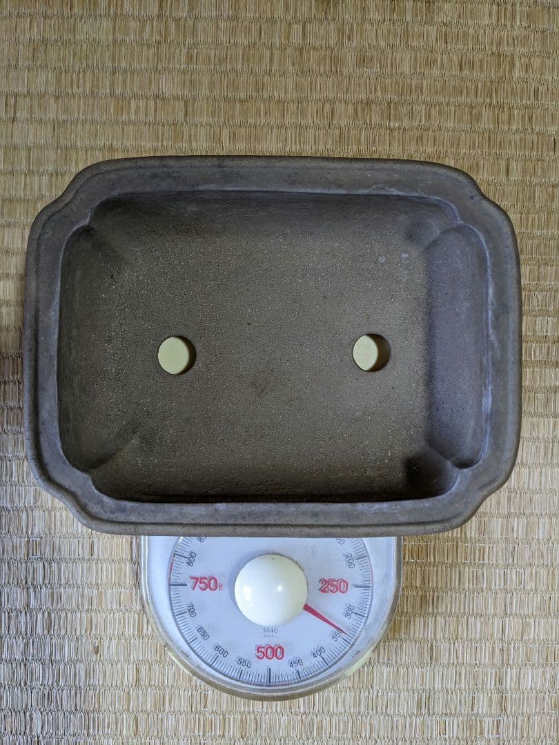 ♦中国？宜興窯 梨地 隅切り長方形ミニ盆栽鉢 小品盆栽鉢 古美術品 骨董品