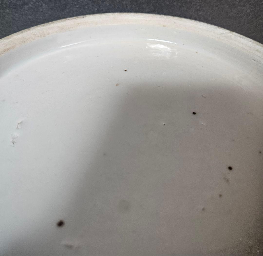 【専用ページ❗】中国古陶磁器　清朝清代　青華　鳥に草花図　高さ40.6cm　大壺