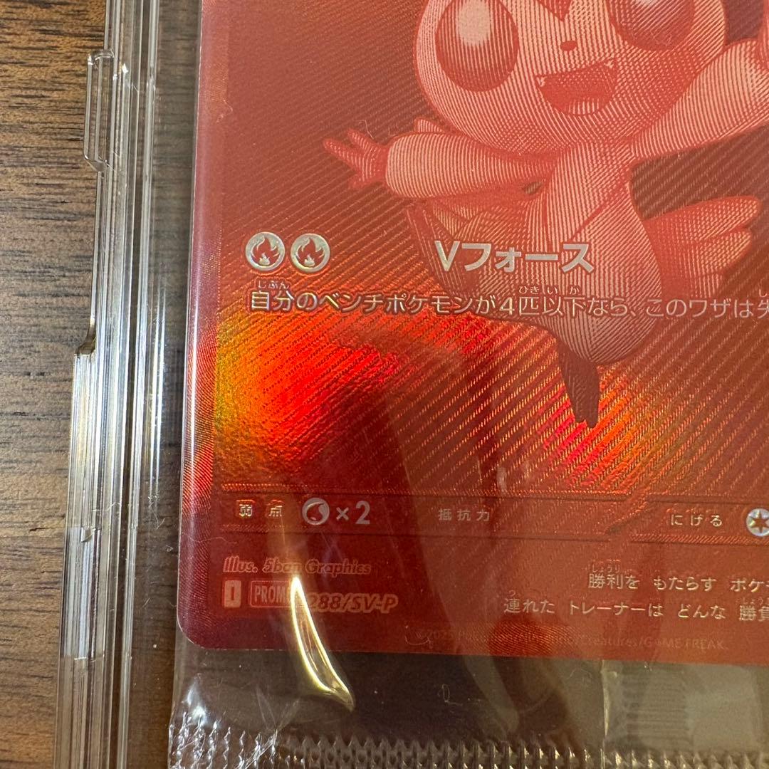 【新品未開封】ビクティニBWR 288/SV-P 争奪戦